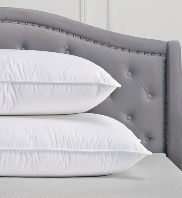 St. Moritz Pillow Canadian Hutterite White Goose Down 800+ Loft 500 Thread Count BY CUDDLE DOWN