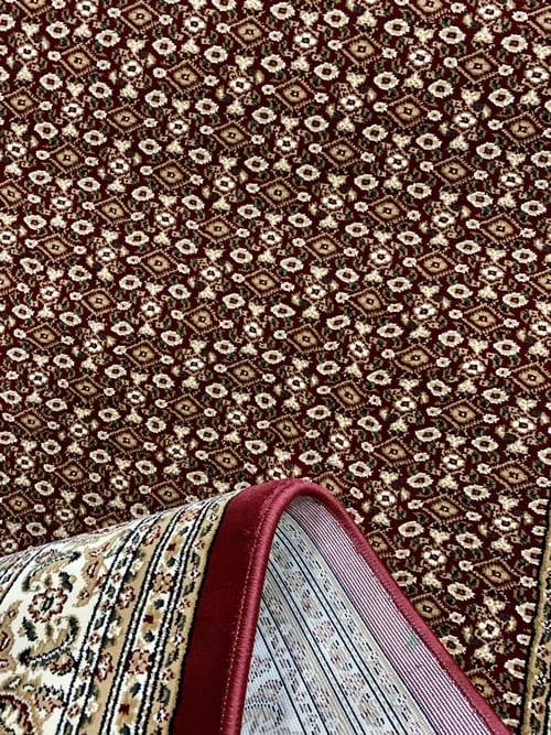 Shiraz