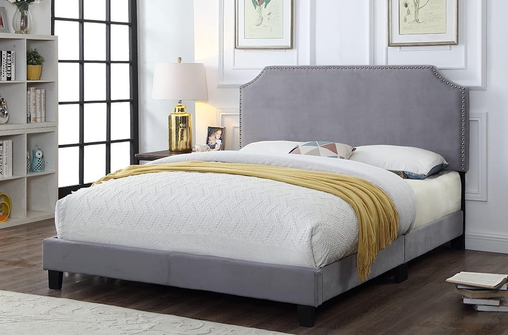 T2116 BED