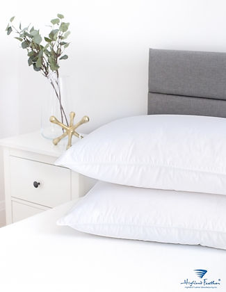 Tortosa White Goose Down Pillow 233TC 600 Loftt By Highland Feather