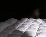 Sopron White Goose Down Duvet – 850 Loft, 700TC Cotton by Highland Feather