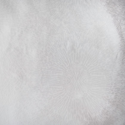 Eterna Collection Lumina Jacquard Pillow Sham by St. Genève – 285TC cotton luxury bedding