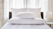 St. Genève body pillow displayed alongside standard and queen pillows on a white bed showing size comparison
