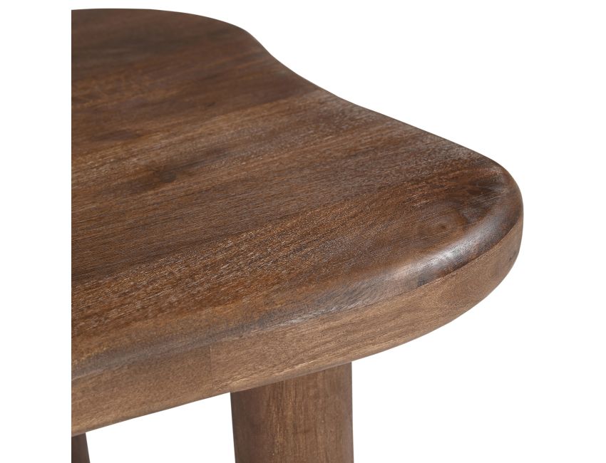 Zaloa organic shaped dark walnut coffee table styled in modern living room