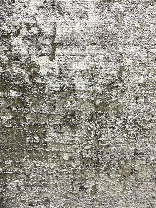 Motion