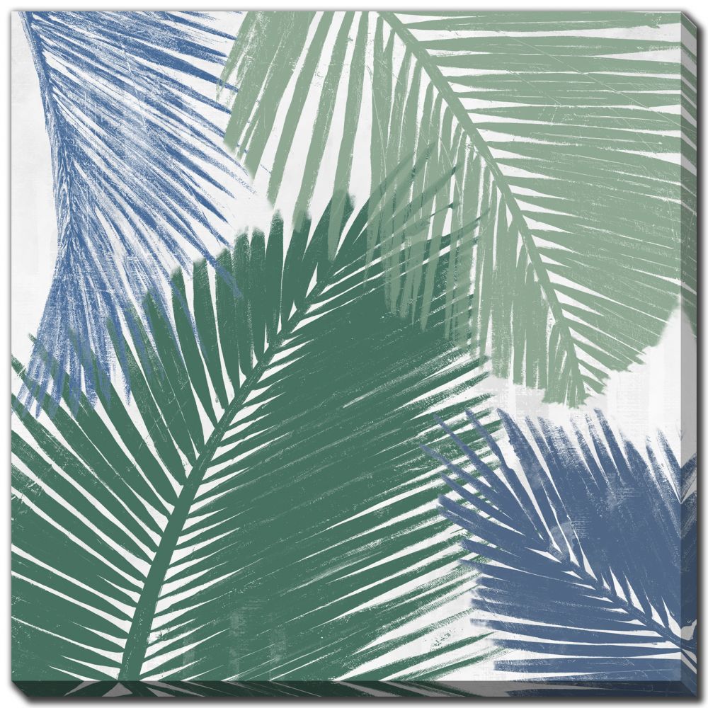 Baru Palms I