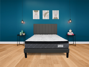 Hard Foam Pillow Top Mattress 9.5