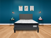 Spinal Rest Mattress – Medium Firm Support with Pillow Top for Back Relief