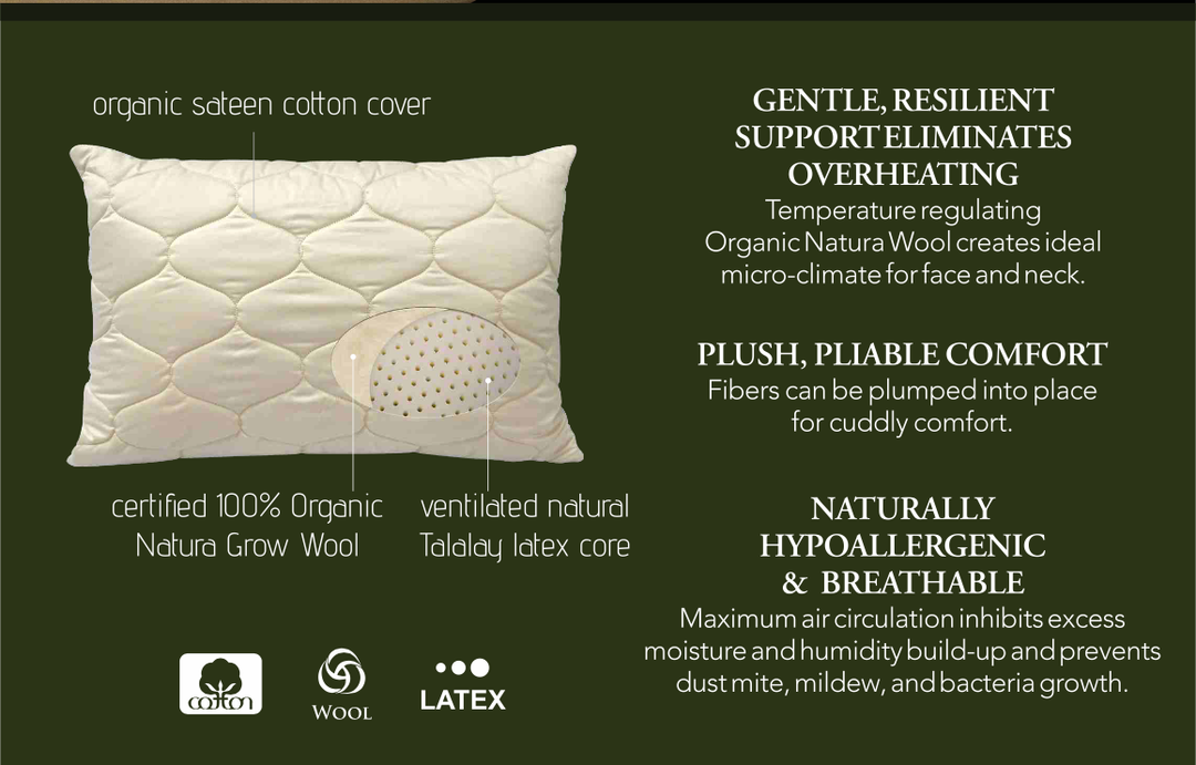 Organic Latex Pillow By Natura