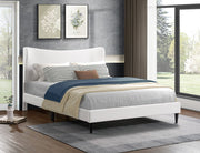IF-5585 Platform Bed – Includes Mattress Support, Cream Velvet Queen/King