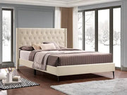 IF-5592 Creme Velvet Fabric Bed - No Box Spring Required: