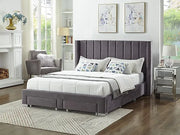 IF-5310 Grey Velvet Upholstered Bed with Mattress Support