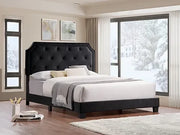 IF-5613 Black Velvet Fabric Bed - No Box Spring Required: